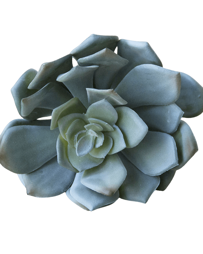 Succulents Fake Faux Lifelike Decorative Things - Chive UK Wholesale