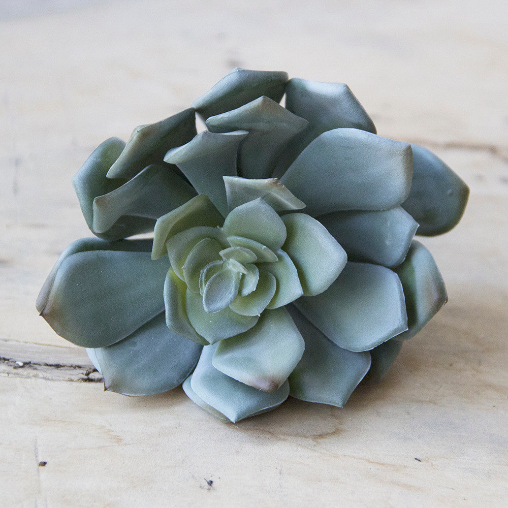 Succulents Fake Faux Lifelike Decorative Kit - Chive UK Wholesale
