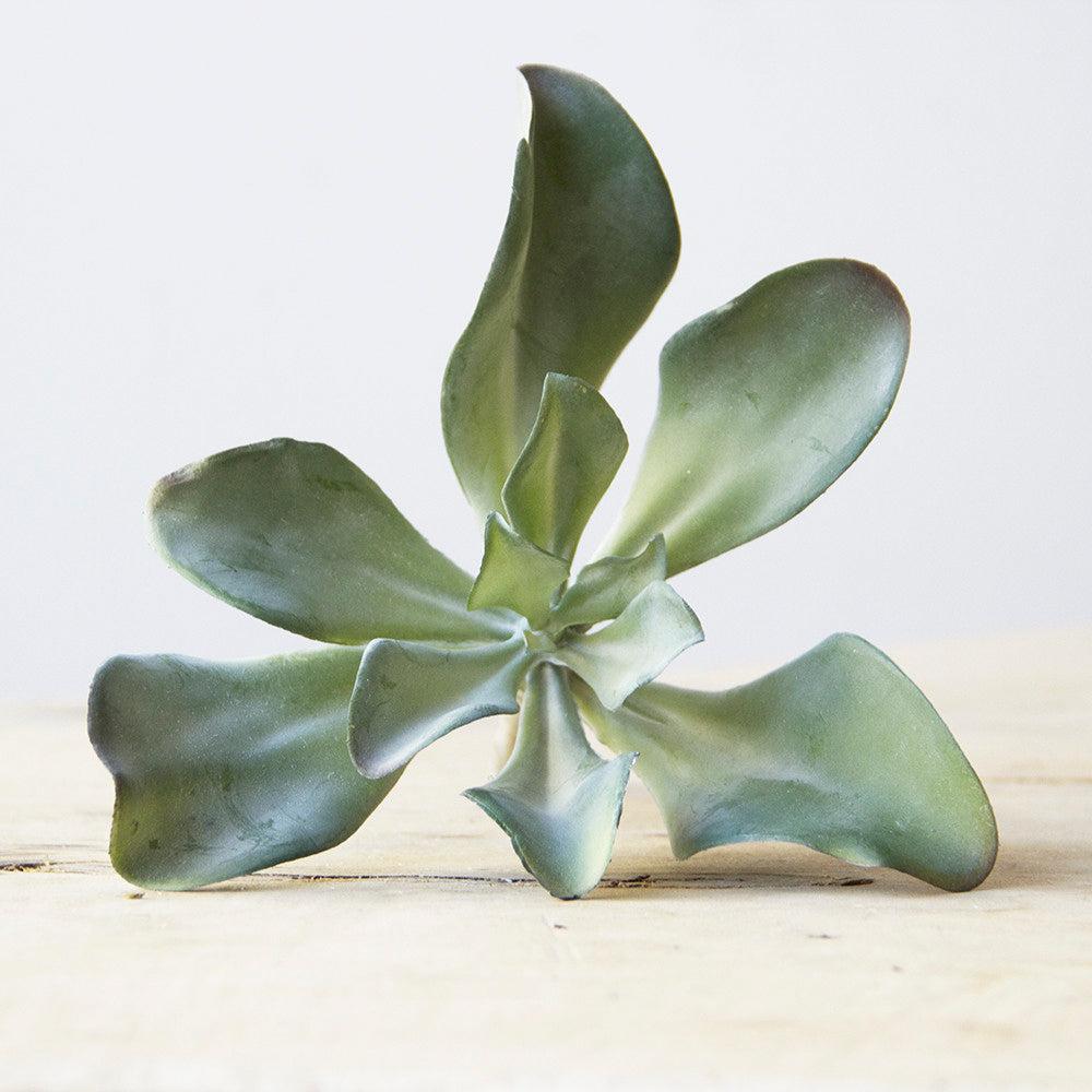 Succulents Fake Faux Lifelike Decorative Kit - Chive UK Wholesale