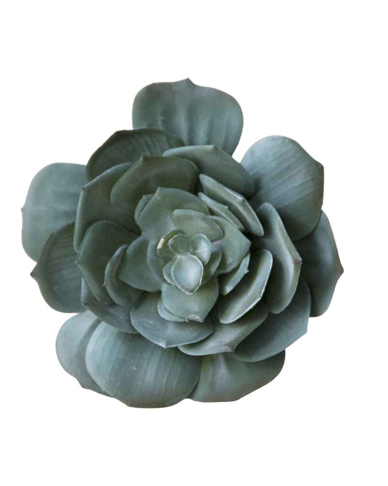 Succulents Fake Faux Lifelike Decorative Things - Chive UK Wholesale
