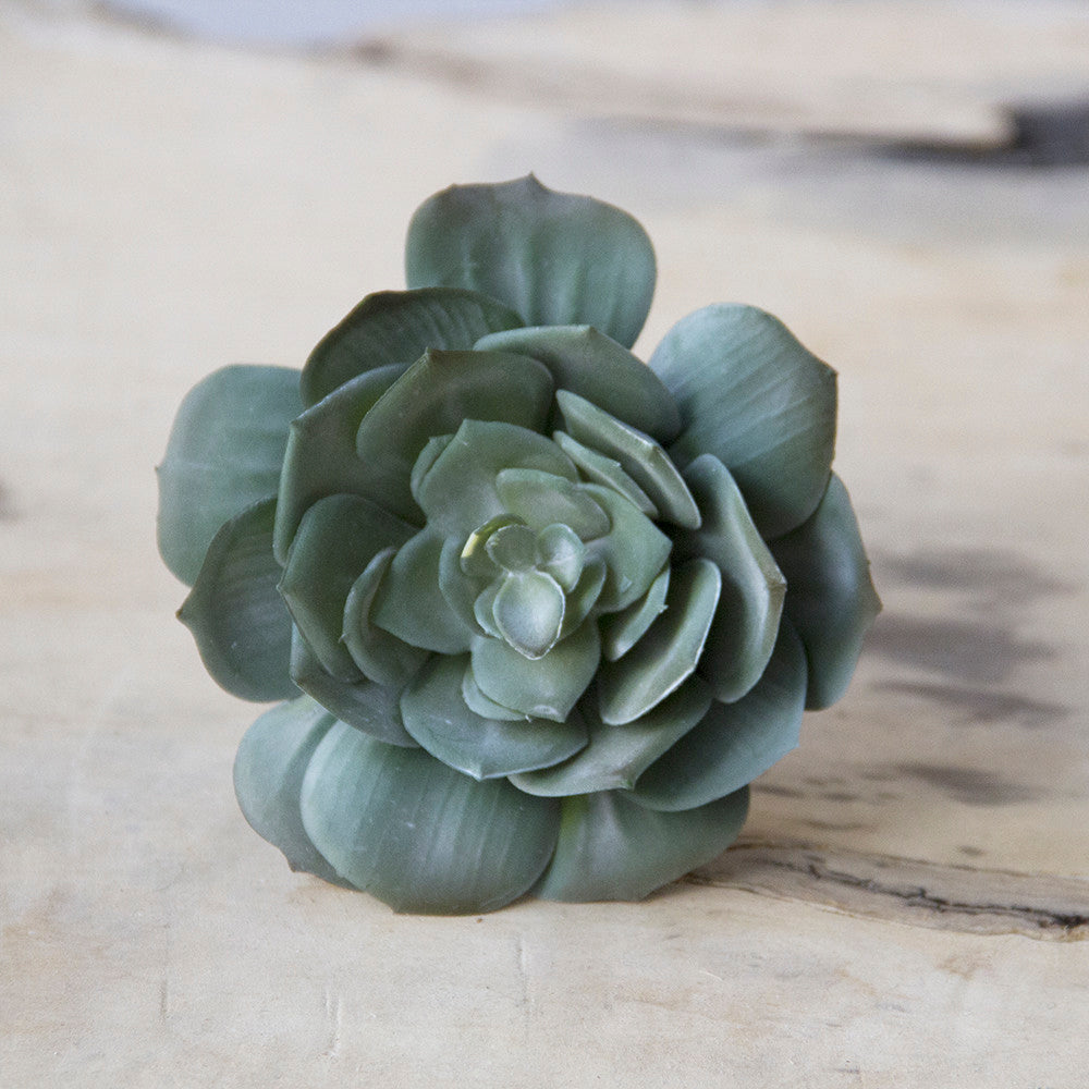 Succulents Fake Faux Lifelike Decorative Kit - Chive UK Wholesale