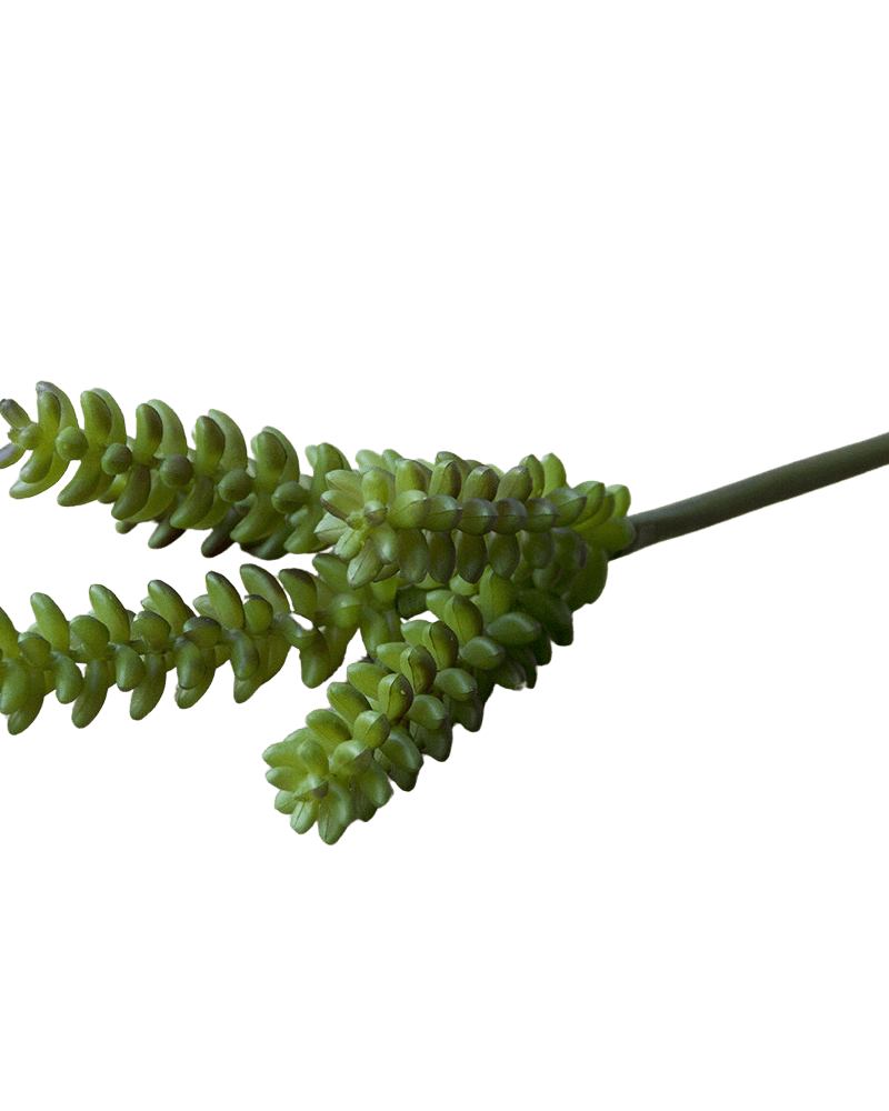 Succulents Fake Faux Lifelike Decorative Things - Chive UK Wholesale