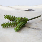 Succulents Fake Faux Lifelike Decorative Kit - Chive UK Wholesale