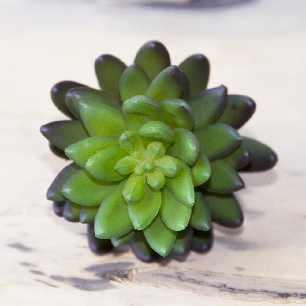 Succulents Fake Faux Lifelike Decorative Kit - Chive UK Wholesale