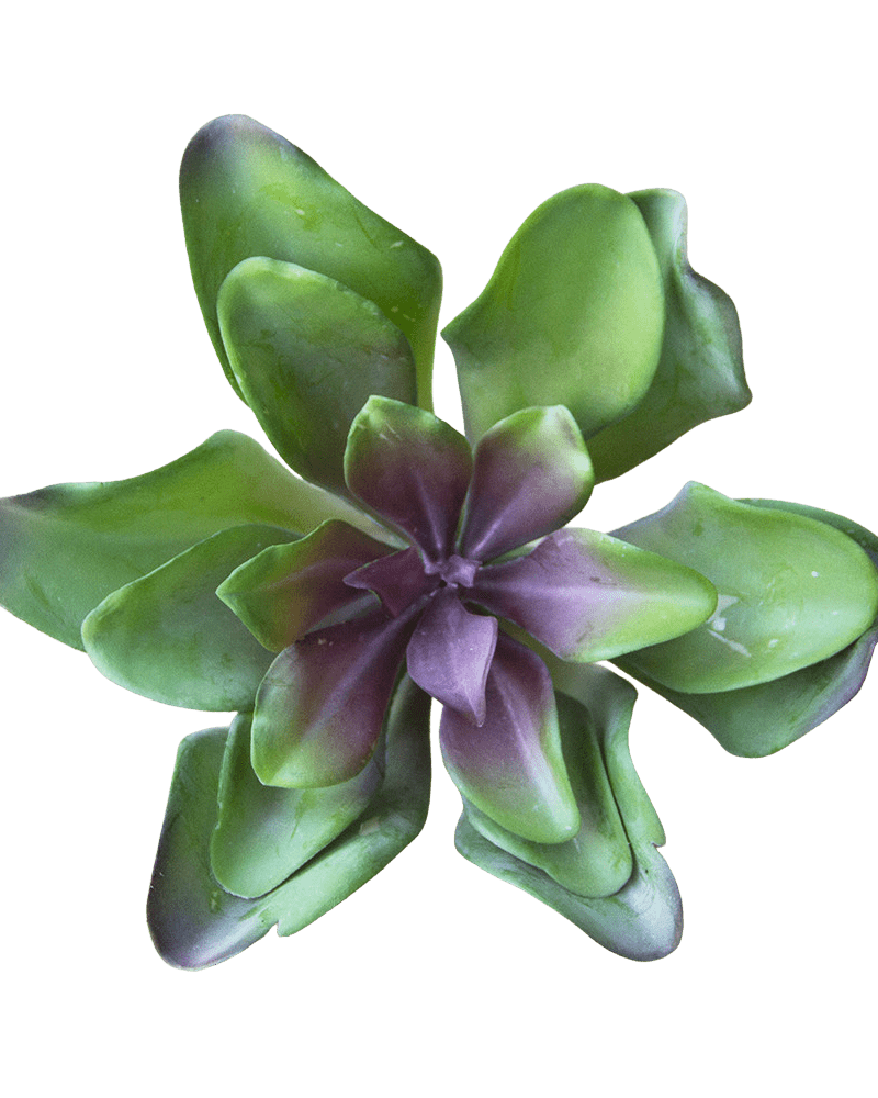 Succulents Fake Faux Lifelike Decorative Things - Chive UK Wholesale