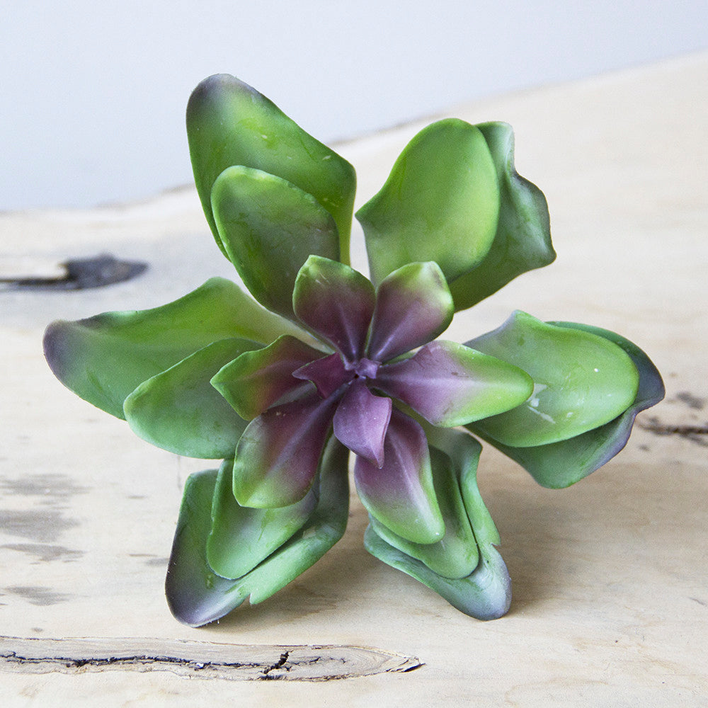 Succulents Fake Faux Lifelike Decorative Kit - Chive UK Wholesale