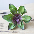 Succulents Fake Faux Lifelike Decorative Kit - Chive UK Wholesale