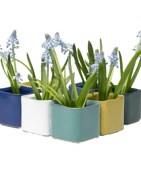 Svek Ceramic Indoor Succulent Pot - Chive UK Wholesale