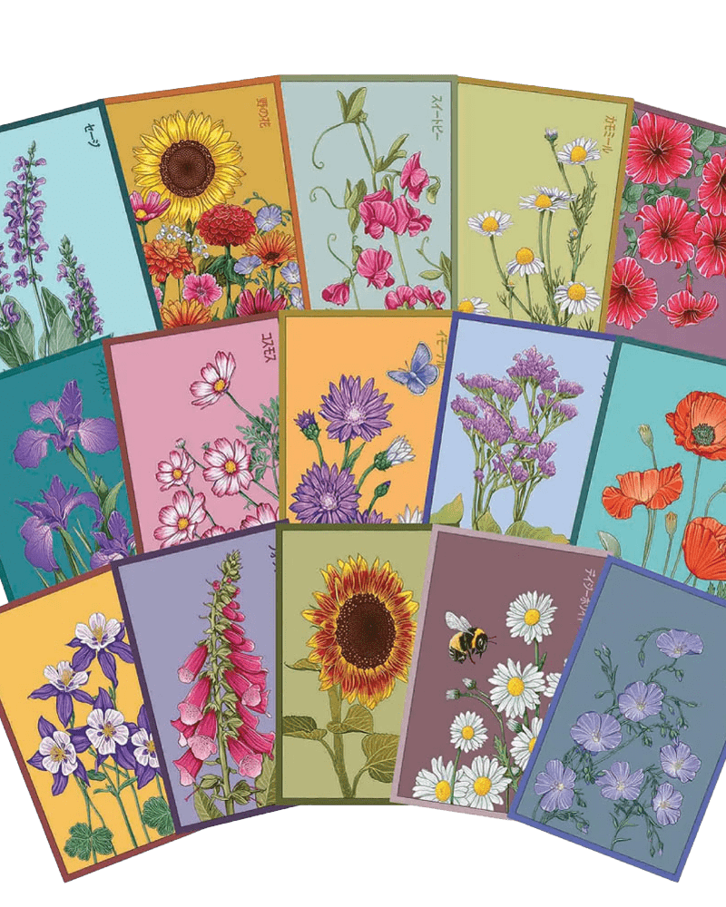 Funky Seeds Packets - 48 Assorted - Chive UK Wholesale