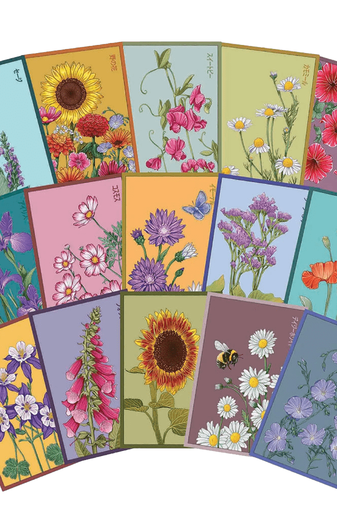 Funky Seeds Packets - 48 Assorted - Chive UK Wholesale