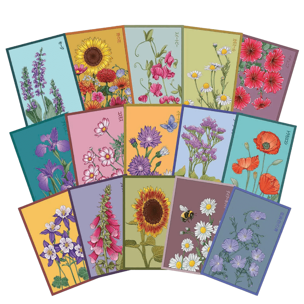 Funky Seeds Packets - 48 Assorted - Chive UK Wholesale