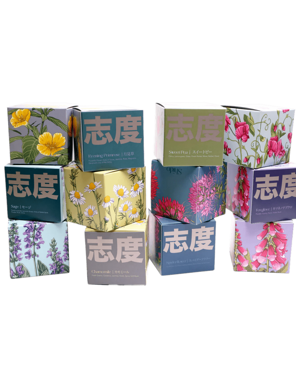 Shido Coconut Soy Blend Candle - Chive UK Wholesale