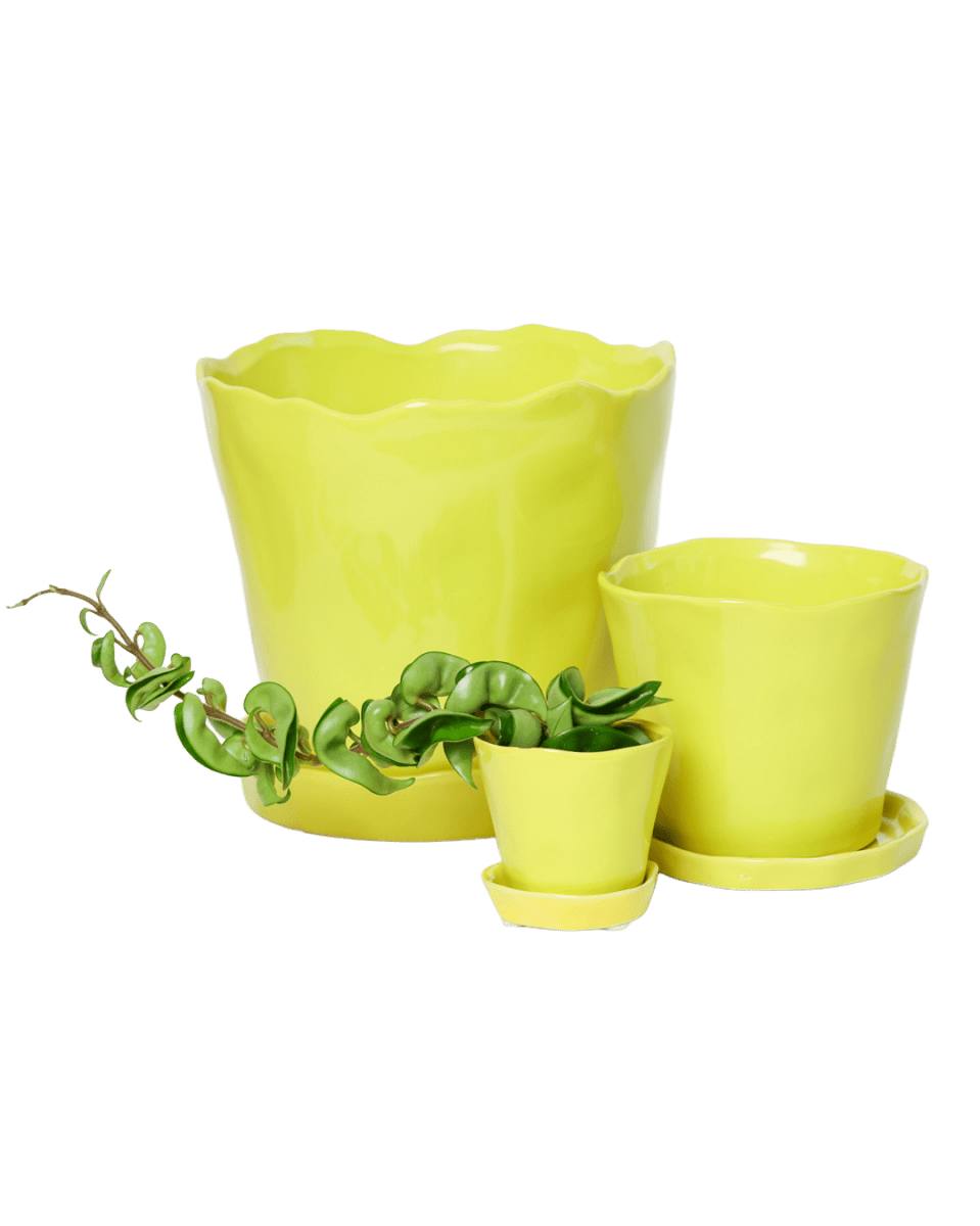 Tika Pot & Saucer | 5 inch - Chive UK Wholesale