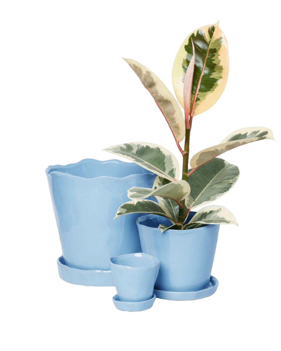 Tika Pot & Saucer | 5 inch - Chive UK Wholesale