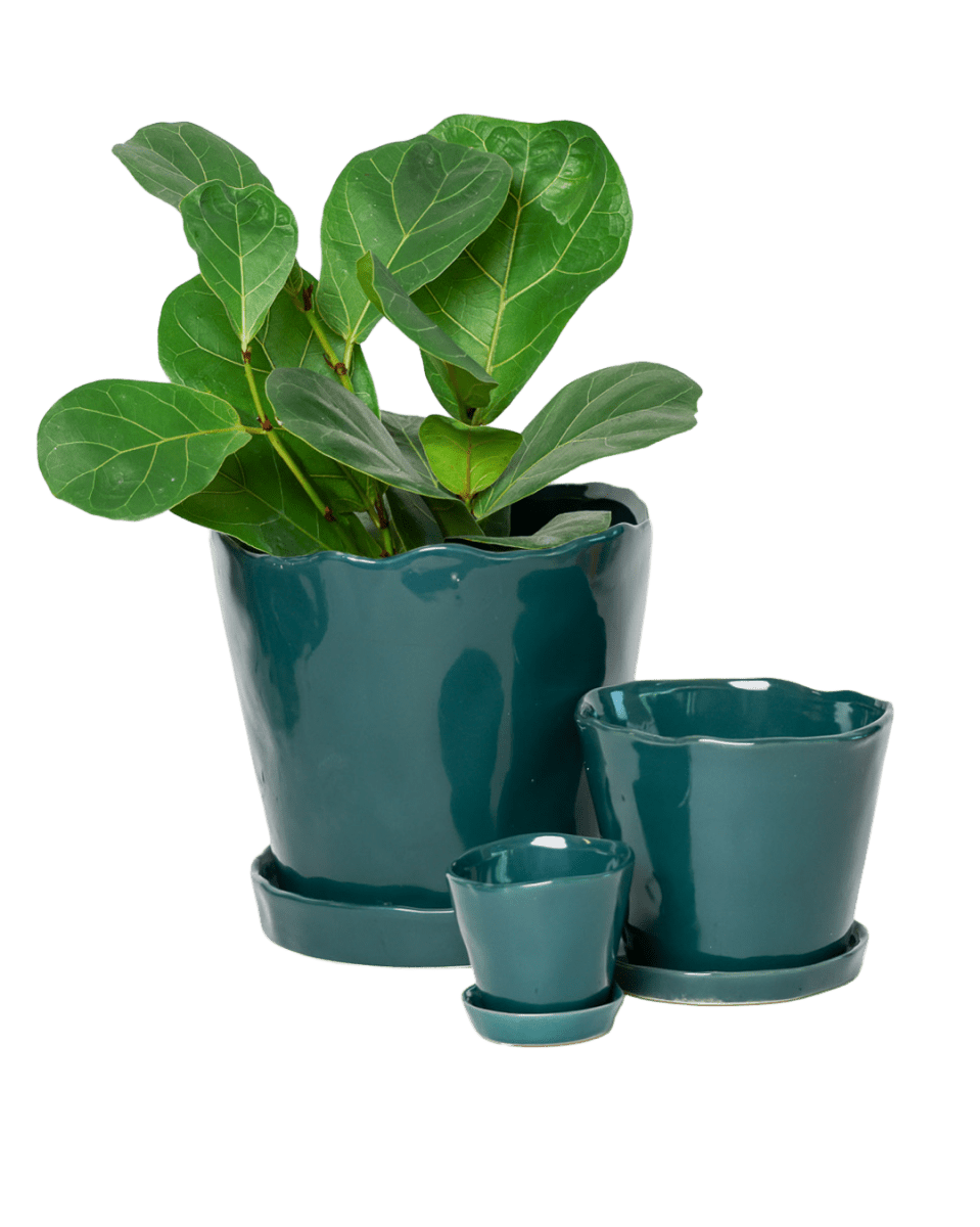 Tika Pot & Saucer | 5 inch - Chive UK Wholesale