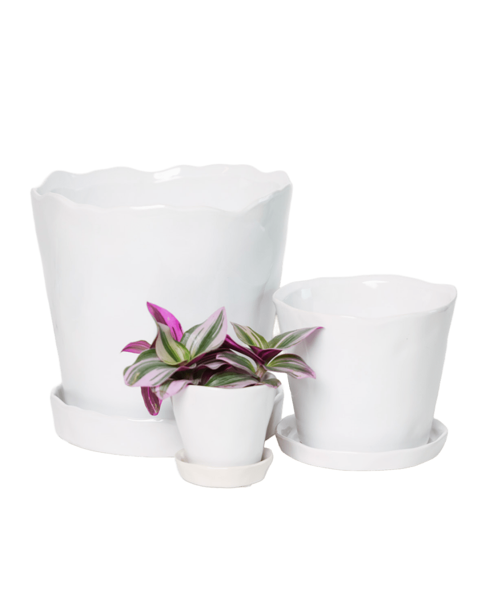 Tika Pot & Saucer | 5 inch - Chive UK Wholesale