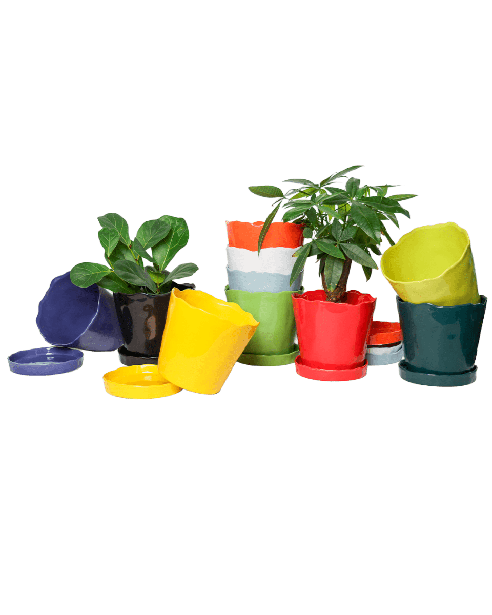 Tika Pot & Saucer | 8 inch - Chive UK Wholesale