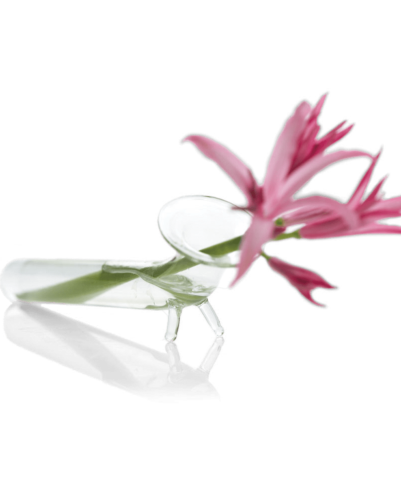 Test Tube Glass Bud Vases - Chive UK Wholesale