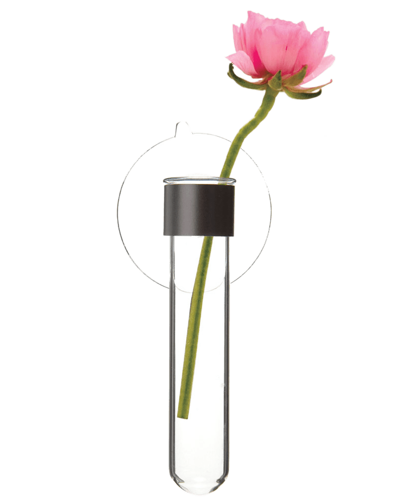Test Tube Glass Bud Vases - Chive UK Wholesale