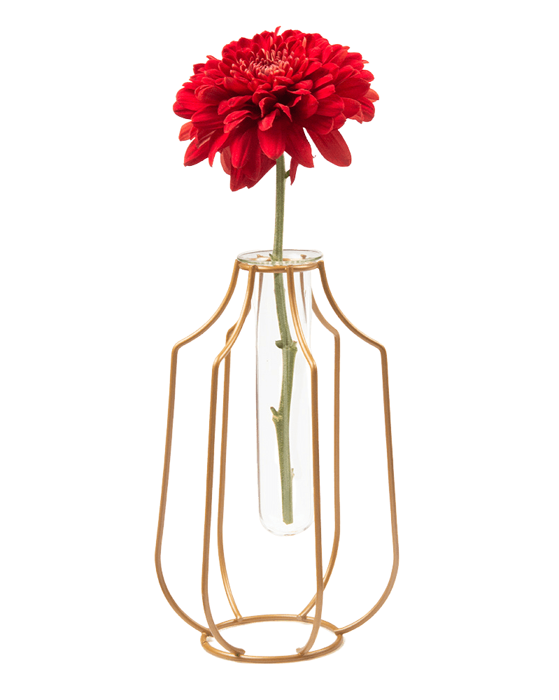 Test Tube Glass Propagation Vase - Chive UK Wholesale