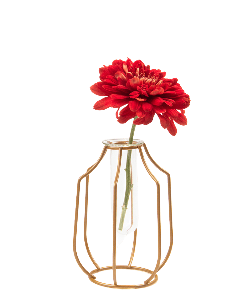 Test Tube Glass Propagation Vase - Chive UK Wholesale