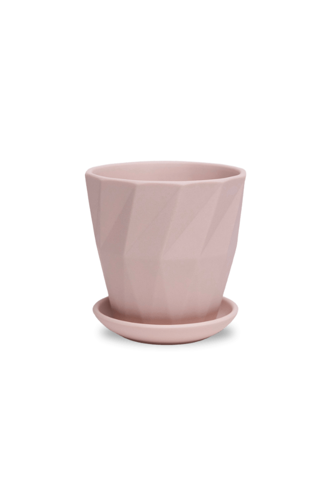 Virago 3.5" Porcelain Pot With Drainage Hole And Saucer - Chive UK Wholesale