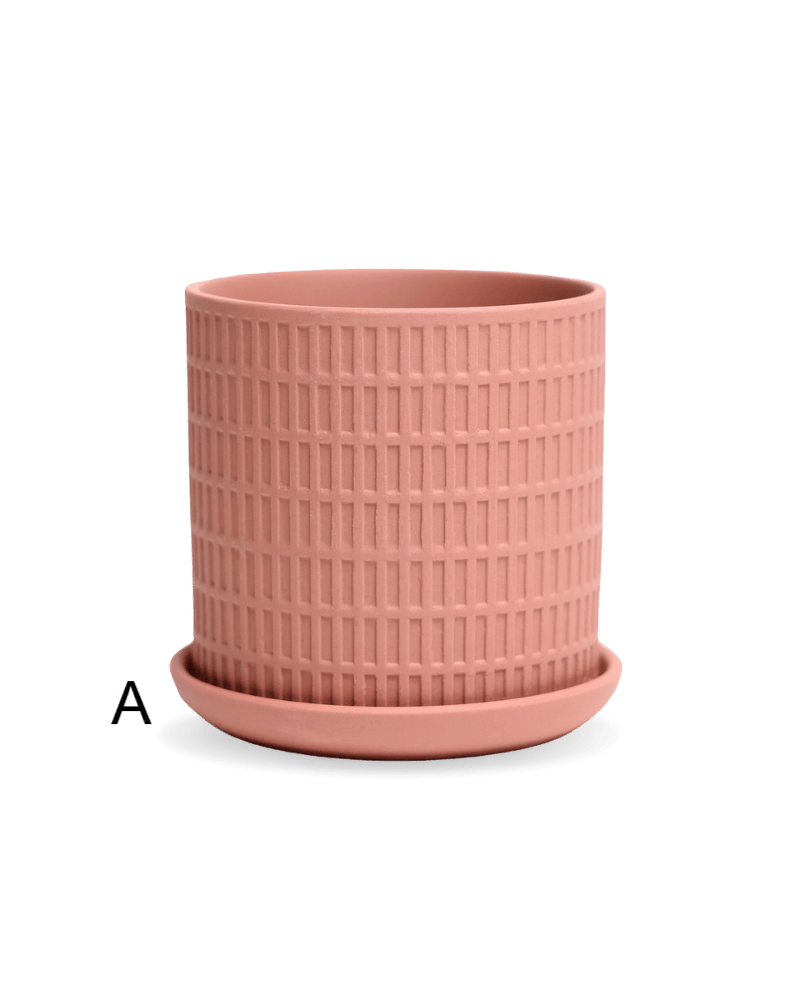 Virago 3.5" Porcelain Pot With Drainage Hole And Saucer - Chive UK Wholesale