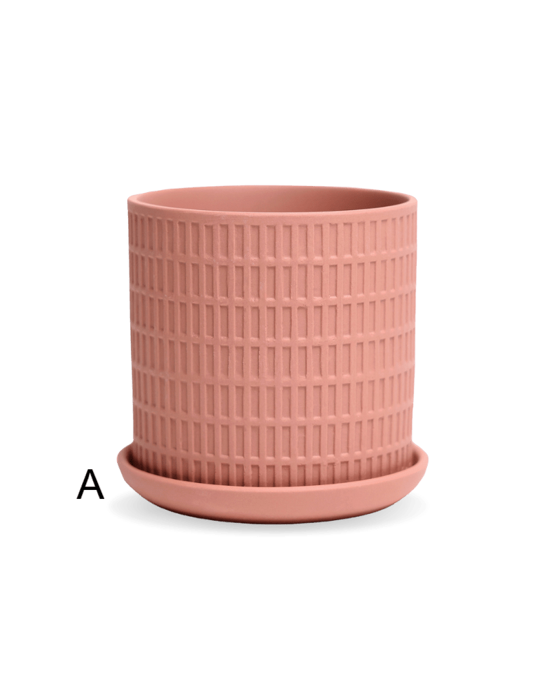 Virago 3.5" Porcelain Pot With Drainage Hole And Saucer - Chive UK Wholesale