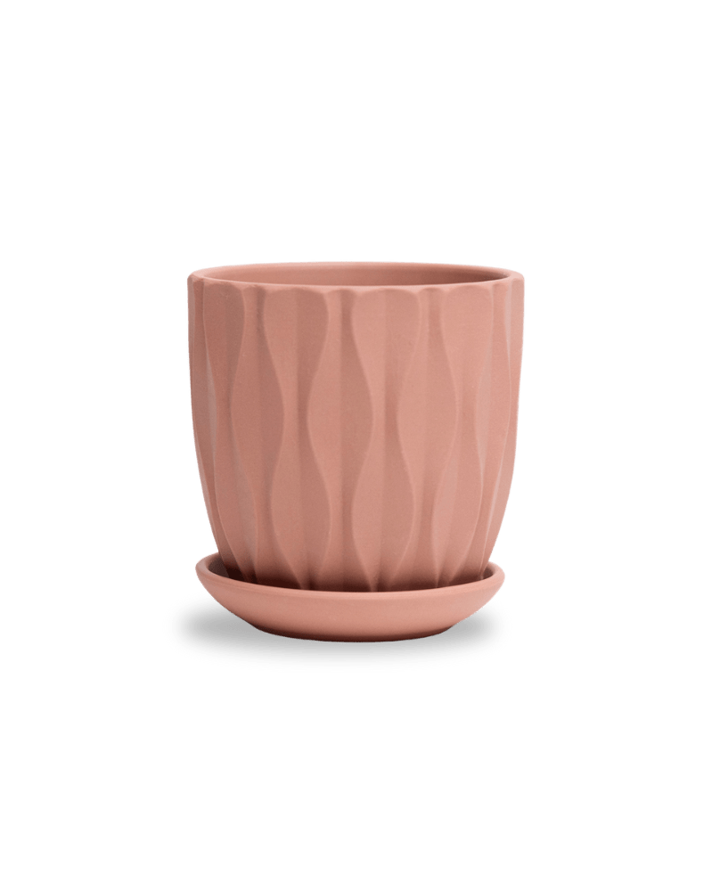 Virago 3.5" Porcelain Pot With Drainage Hole And Saucer - Chive UK Wholesale