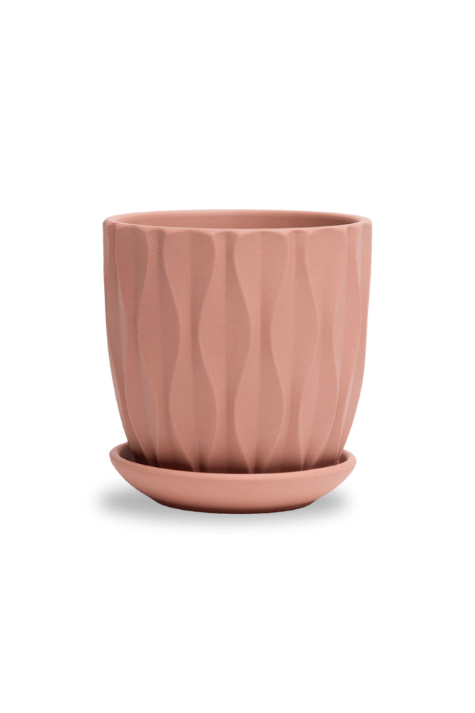 Virago 3.5" Porcelain Pot With Drainage Hole And Saucer - Chive UK Wholesale