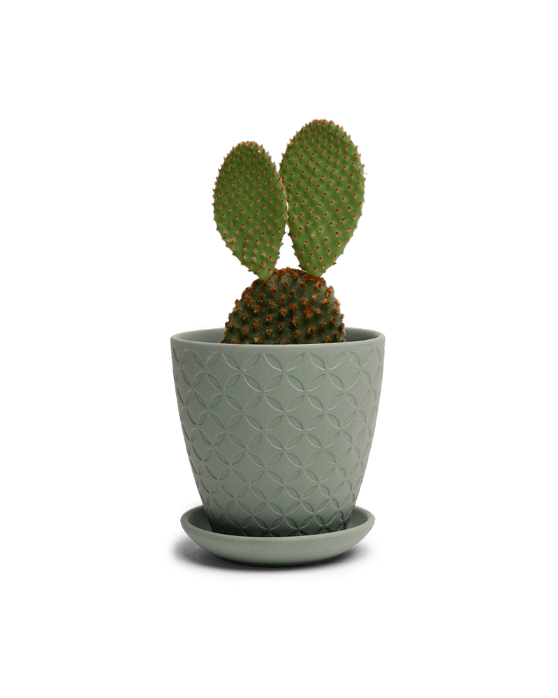 Virago 3.5" Porcelain Pot With Drainage Hole And Saucer - Chive UK Wholesale
