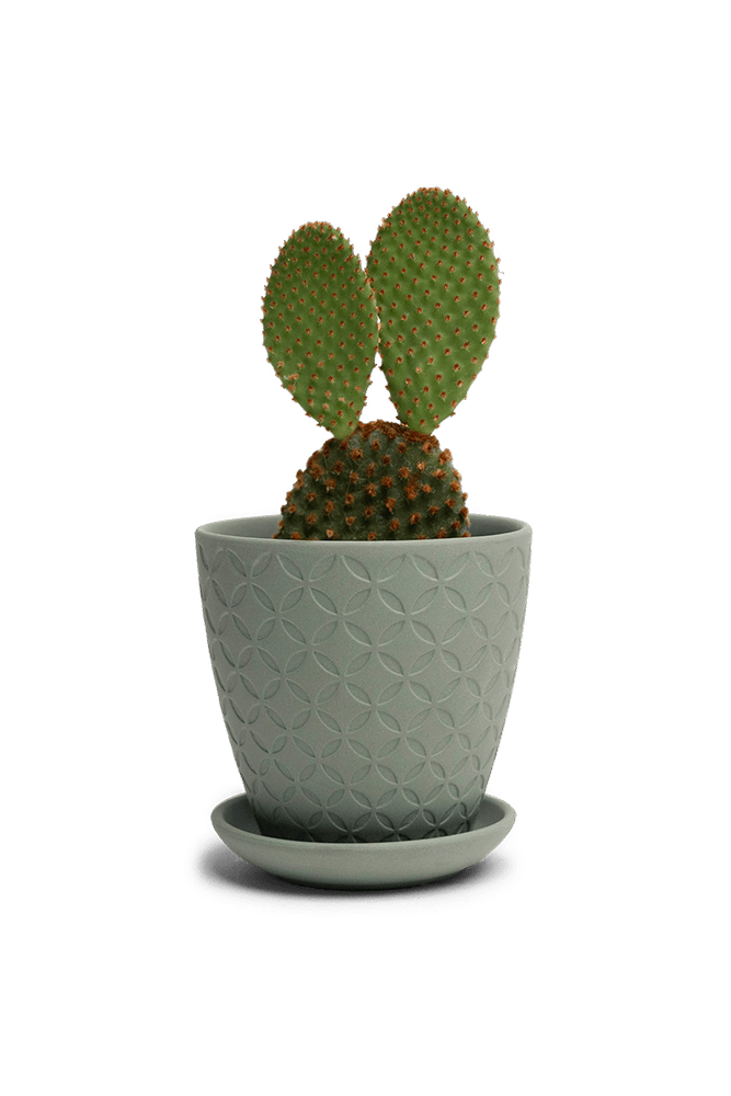 Virago 3.5" Porcelain Pot With Drainage Hole And Saucer - Chive UK Wholesale