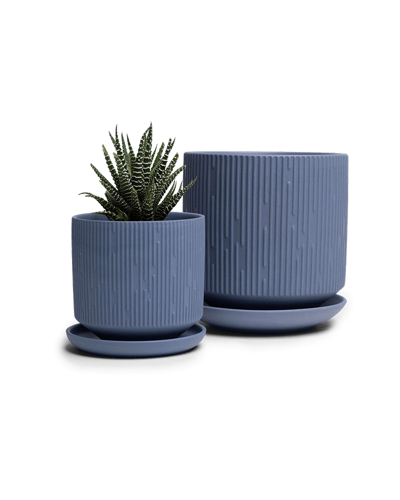 Virago 3.5" Porcelain Pot With Drainage Hole And Saucer - Chive UK Wholesale