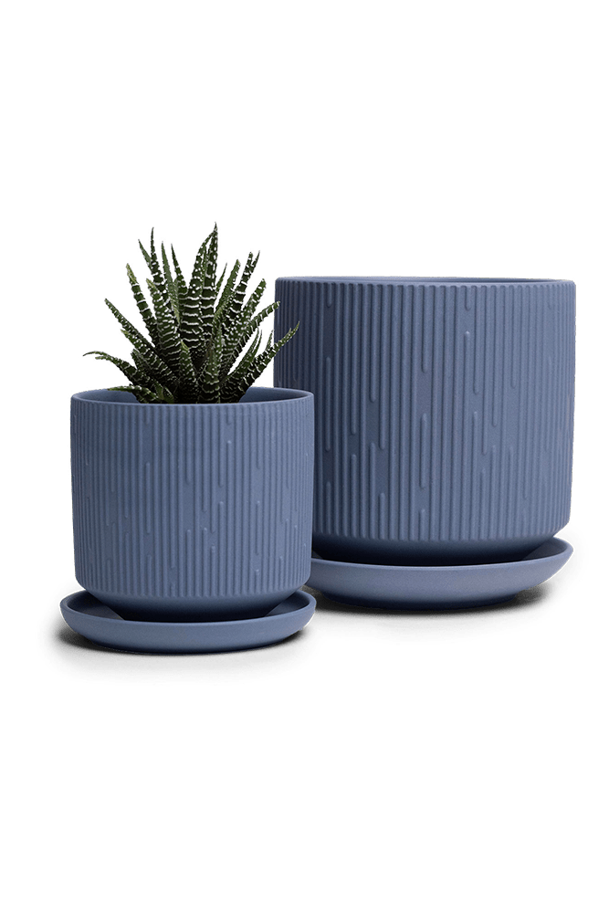 Virago 3.5" Porcelain Pot With Drainage Hole And Saucer - Chive UK Wholesale