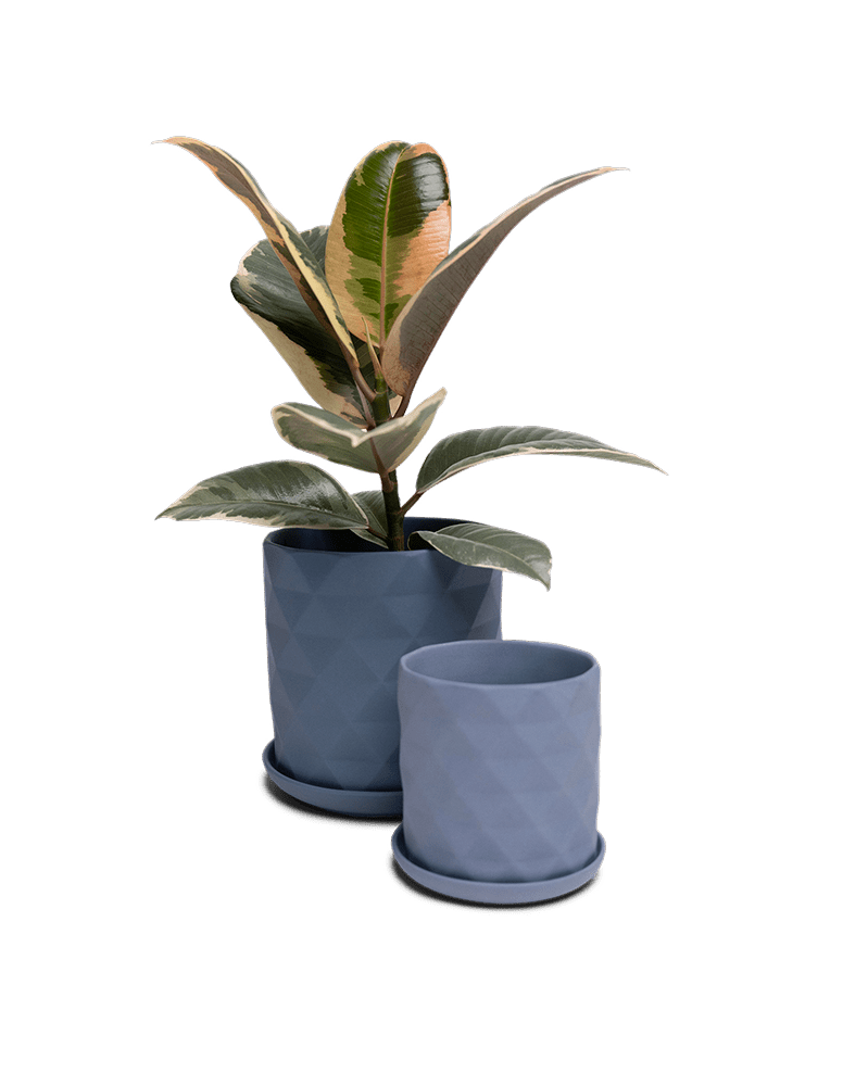 Virago 3.5" Porcelain Pot With Drainage Hole And Saucer - Chive UK Wholesale