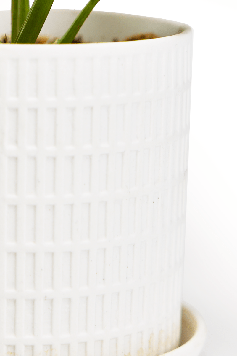 Virago 3.5" Porcelain Pot With Drainage Hole And Saucer - Chive UK Wholesale