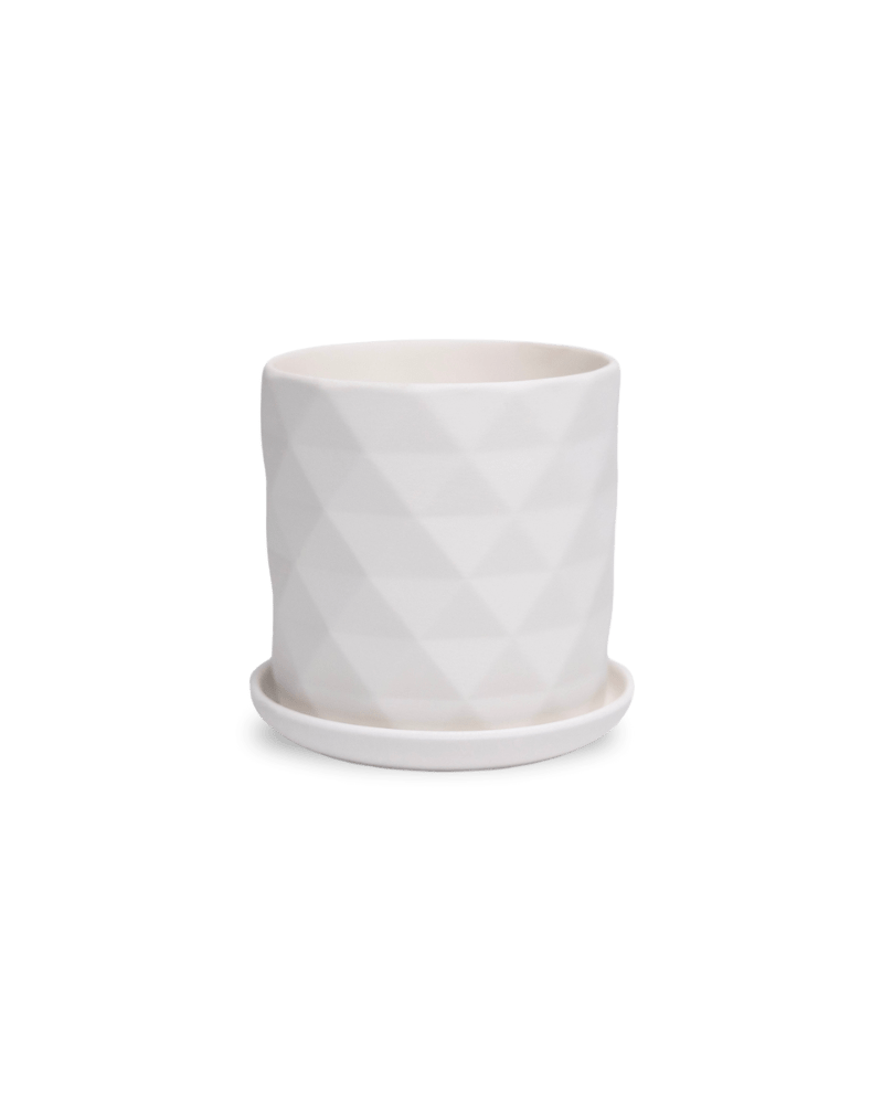 Virago 3.5" Porcelain Pot With Drainage Hole And Saucer - Chive UK Wholesale