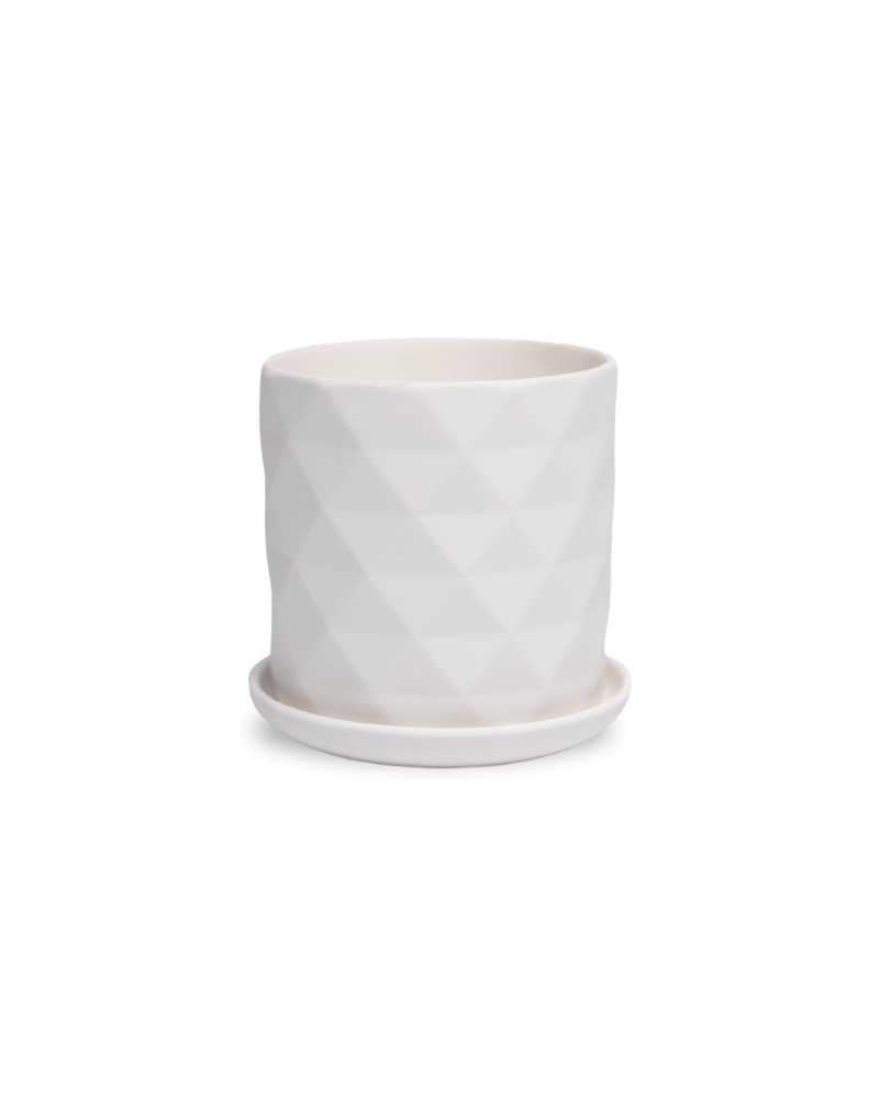 Virago 3.5" Porcelain Pot With Drainage Hole And Saucer - Chive UK Wholesale
