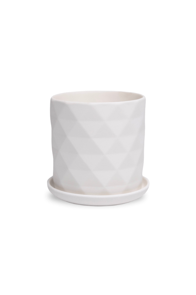 Virago 3.5" Porcelain Pot With Drainage Hole And Saucer - Chive UK Wholesale