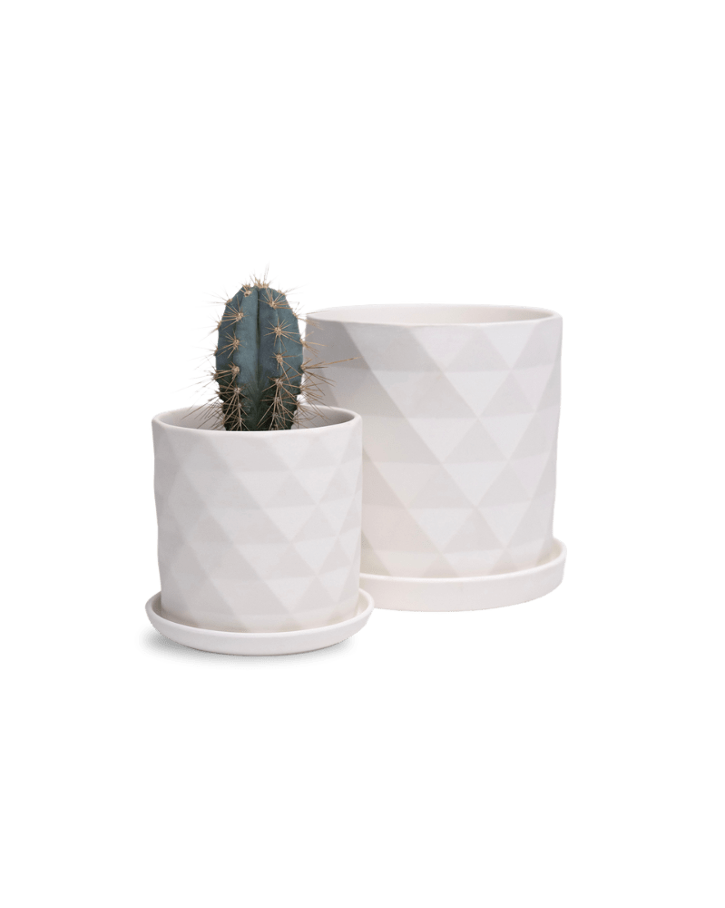 Virago 3.5" Porcelain Pot With Drainage Hole And Saucer - Chive UK Wholesale