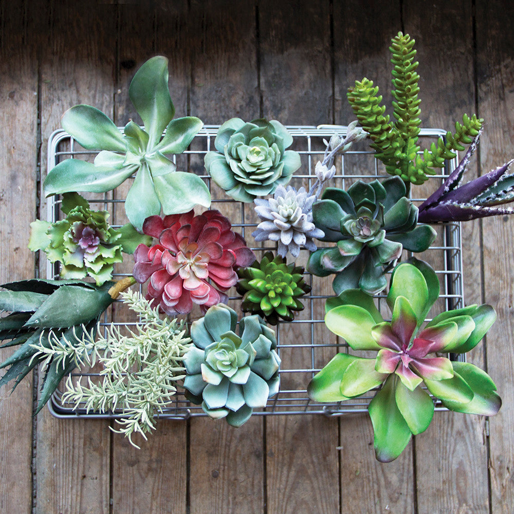 Succulents Fake Faux Lifelike Decorative Kit - Chive UK Wholesale