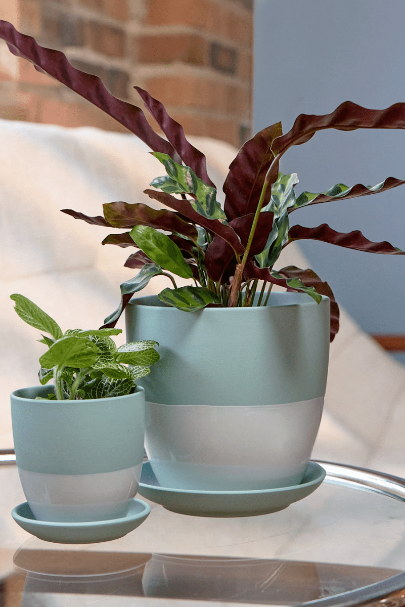Dyad Porcelain Modern Indoor Plant Pot With Saucer - Chive UK Wholesale