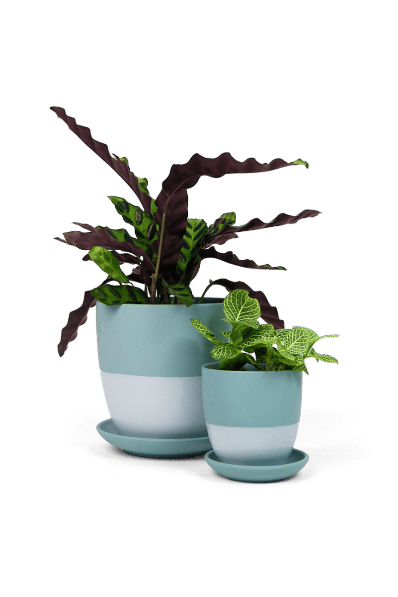 Dyad Porcelain Modern Indoor Plant Pot With Saucer - Chive UK Wholesale