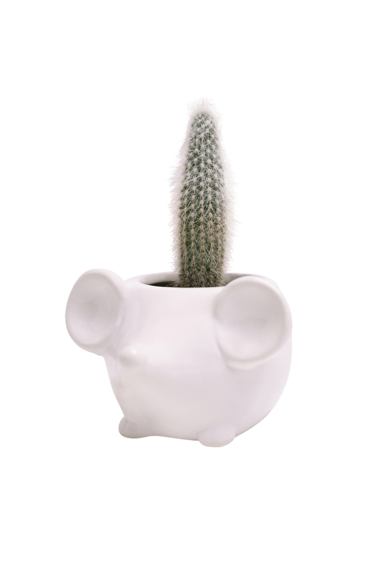 Mouse Ceramic Indoor Plant Pot For Succulents - Chive UK Wholesale