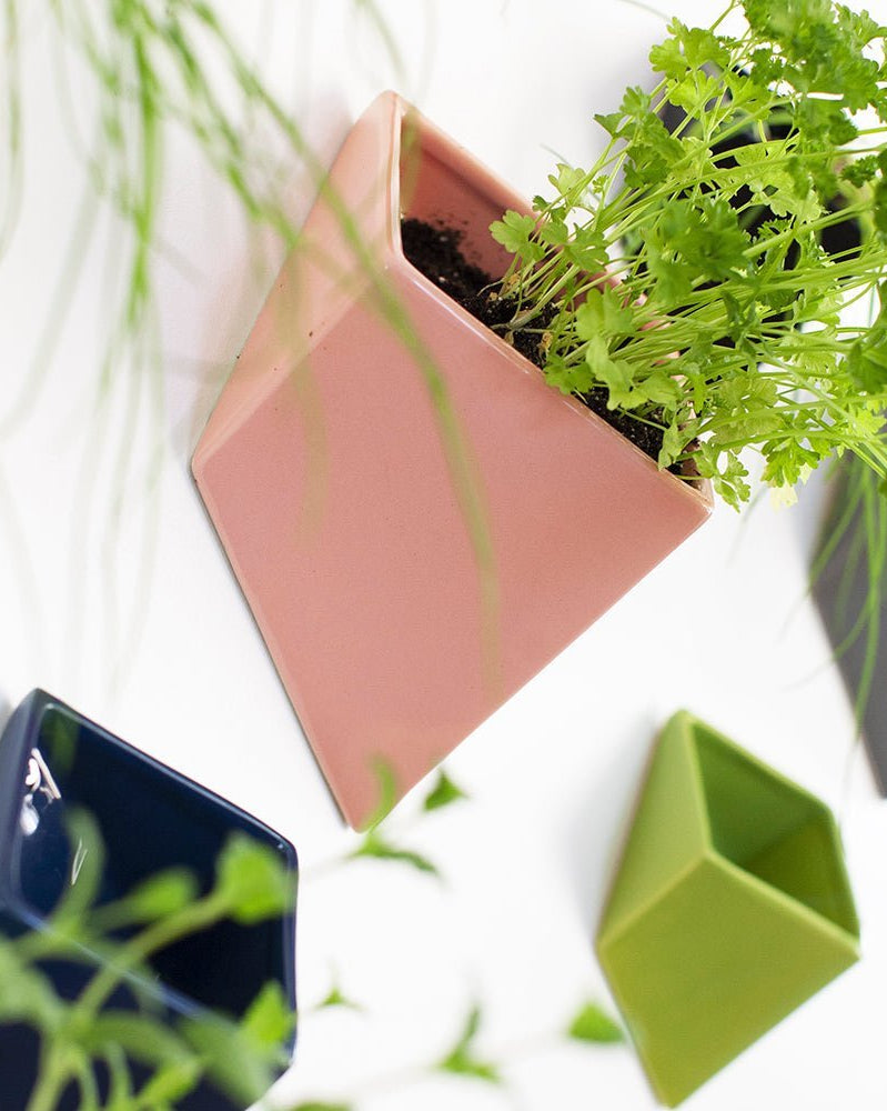 Slab Wall Planter For Succulents - Chive UK Wholesale