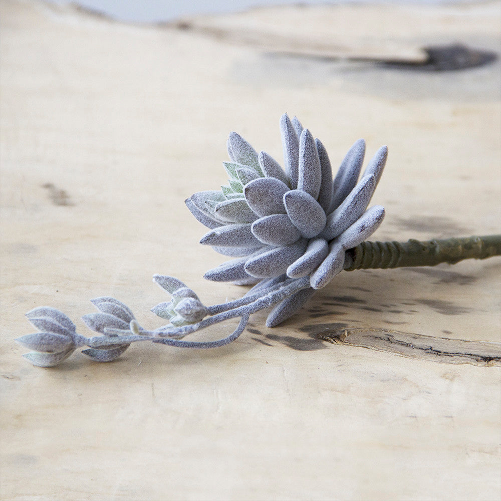 Succulents Fake Faux Lifelike Decorative Kit - Chive UK Wholesale