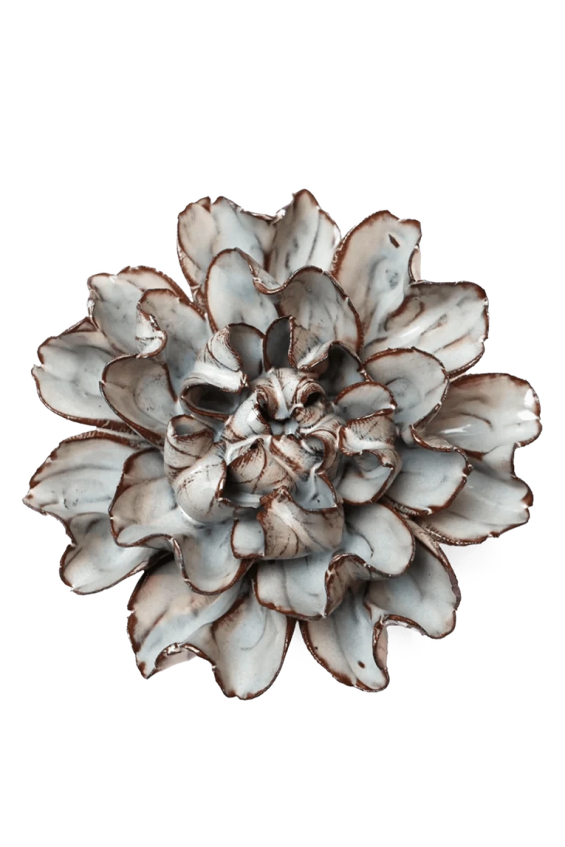 JA15 Chocolate Mint Echo Lisianthus - Chive UK Wholesale