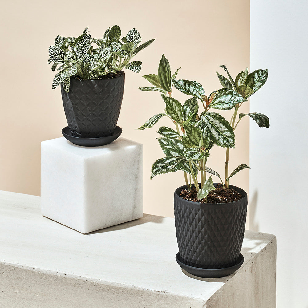 Virago Porcelain Pot With Drainage Hole And Saucer Kits - Chive UK Wholesale