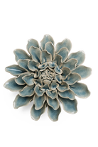 EG17 Powder Blue Aphrodite Dahlia - Chive UK Wholesale