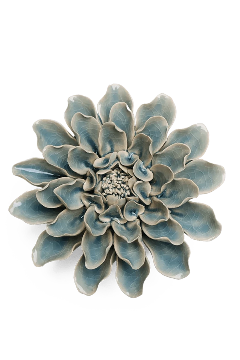 EG17 Powder Blue Aphrodite Dahlia - Chive UK Wholesale